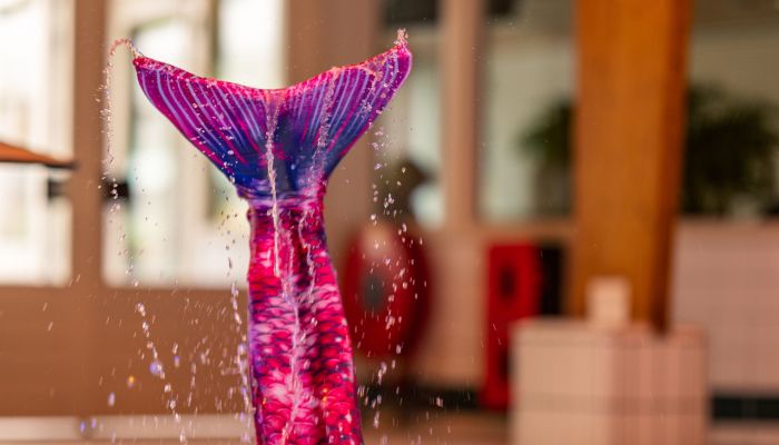 3R9A0167 website.jpg